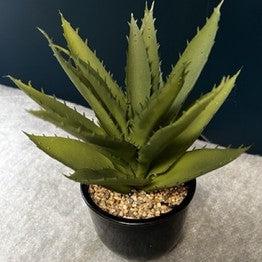 faux plant in planter