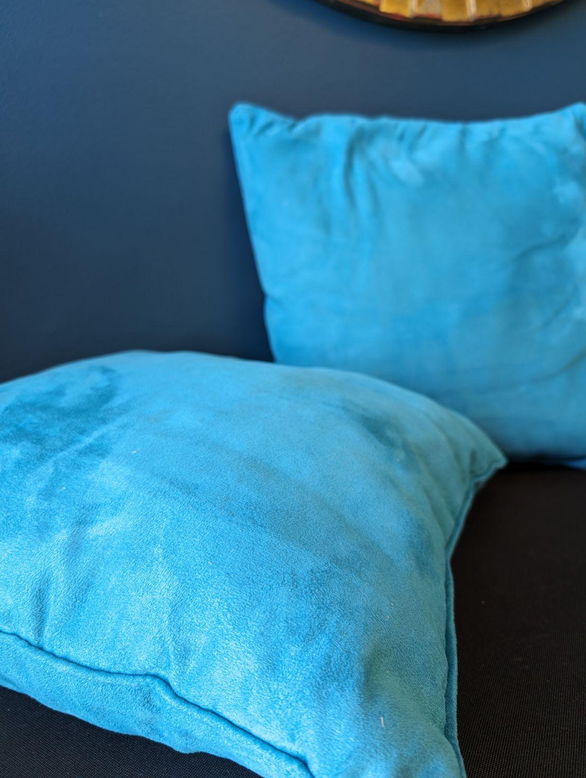 Teal accent pillow
