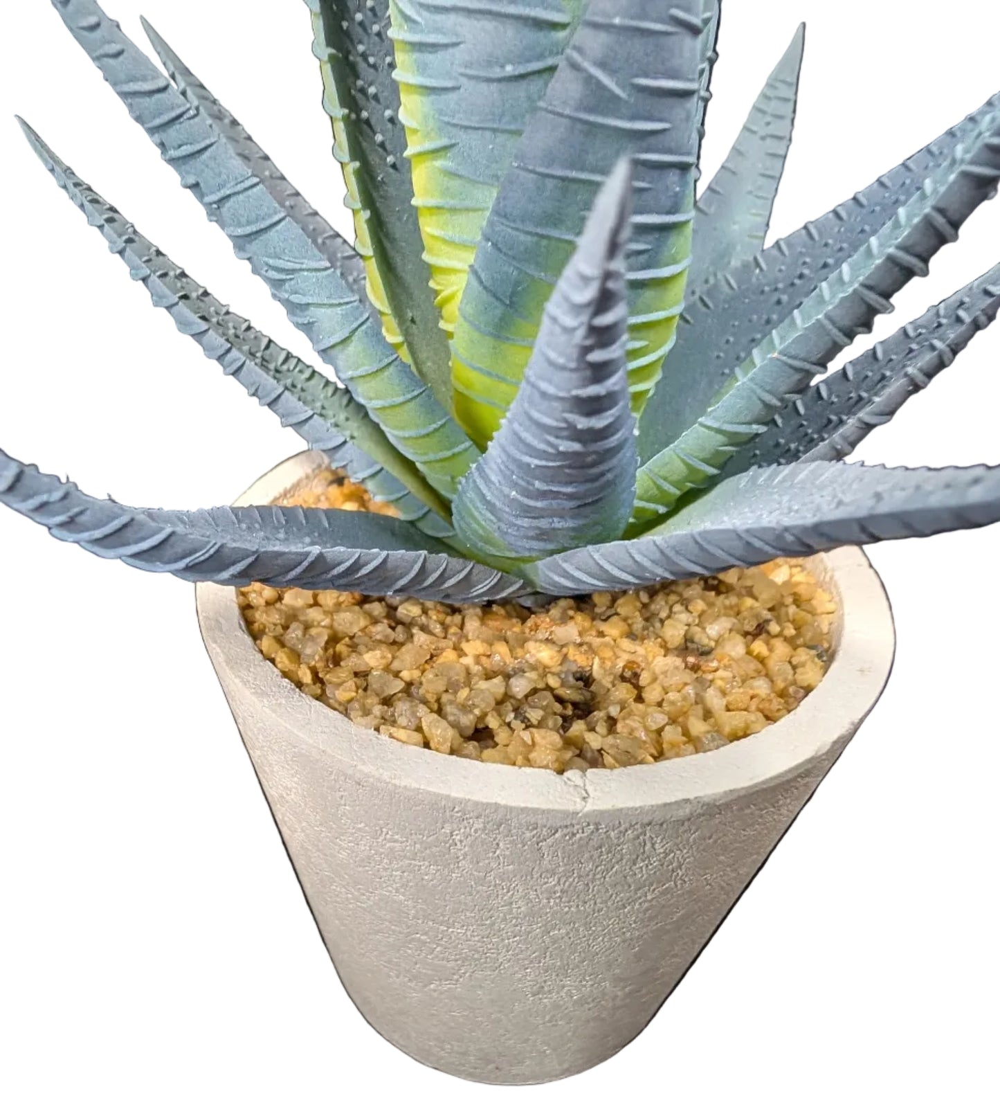 Faux Blue Aloe*OEN BOX