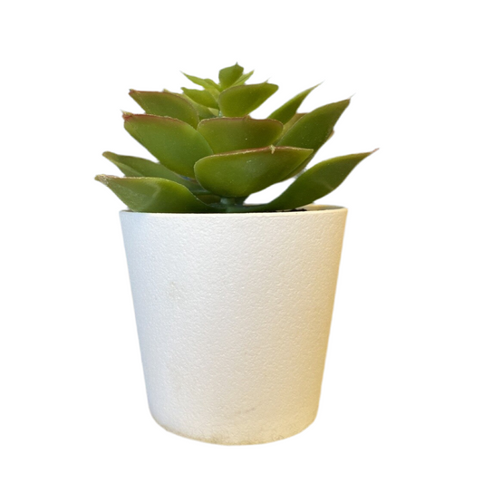 small faux succulent