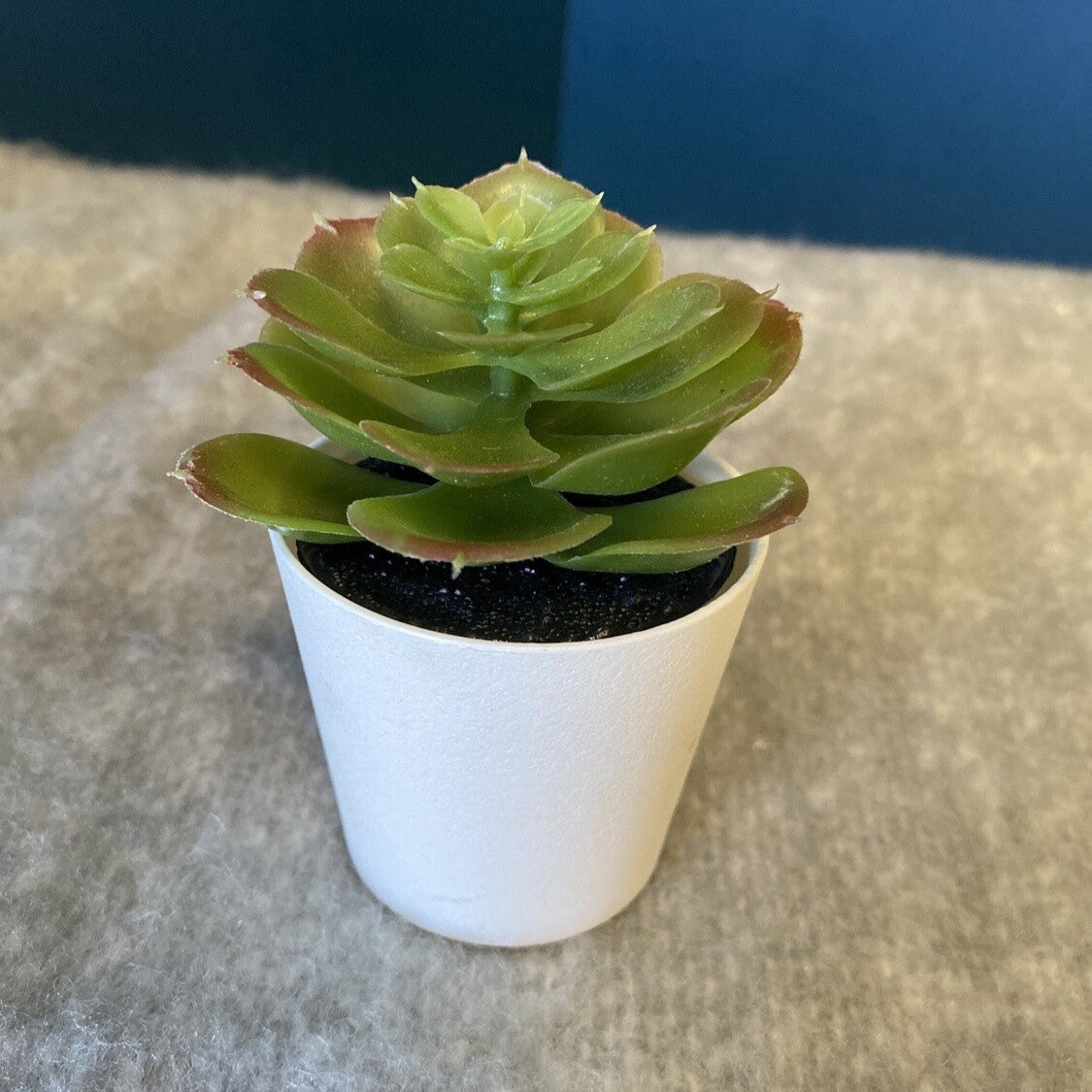 small faux succulent plant