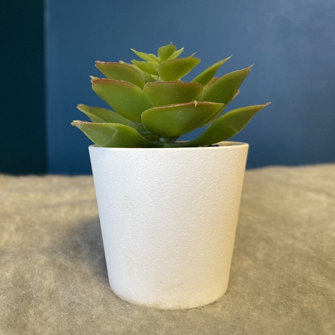 small faux succulent