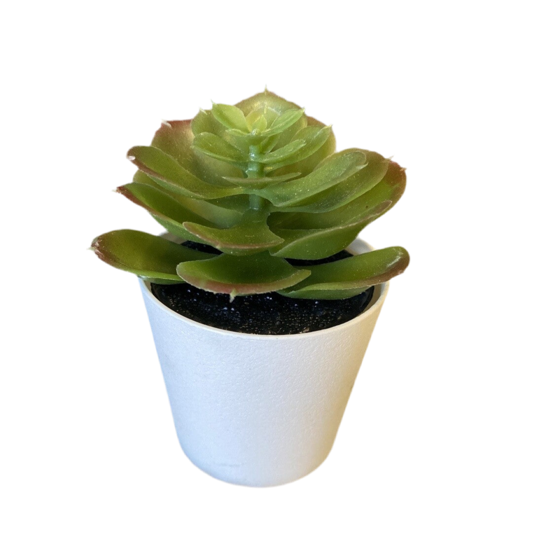 small faux succulent