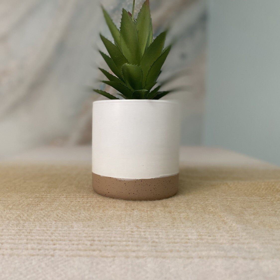 white faux planter w succulent