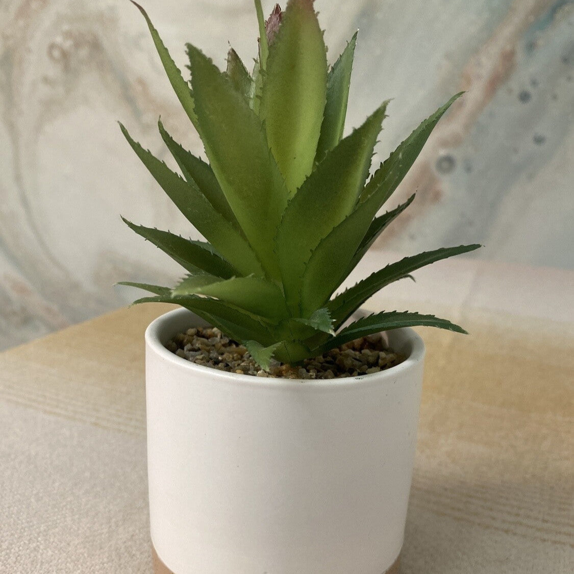 white faux planter w succulent