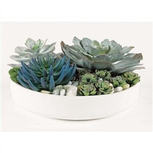Decor & Greenery - Like New