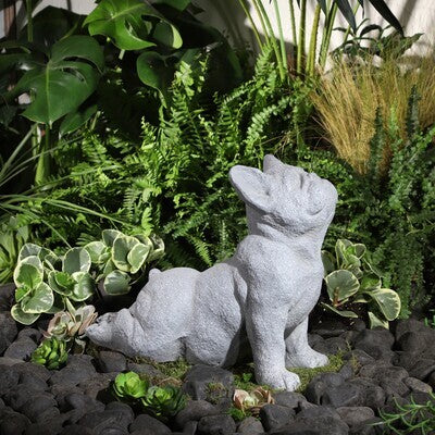 Garden Decor & Accessories