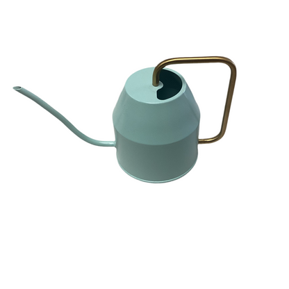 Mint Watering Can