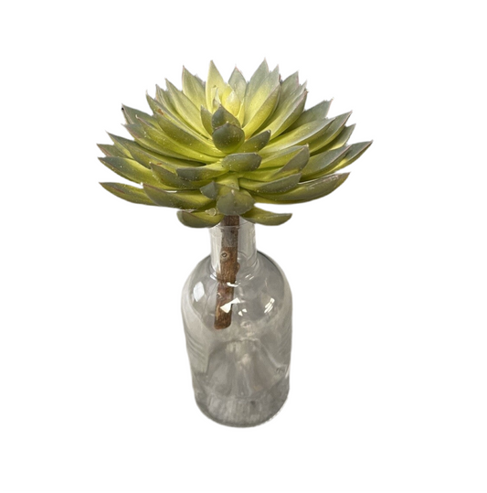 Green Succulent Plant Decor- Open Box