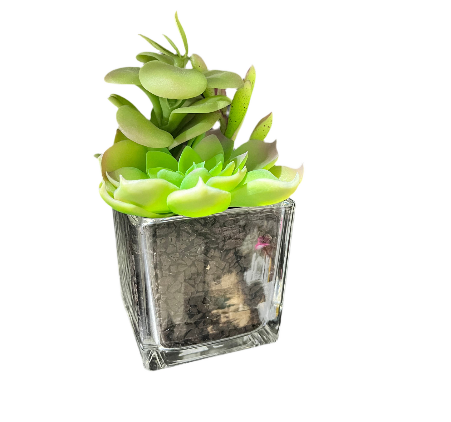 Faux 6’’ Succulent