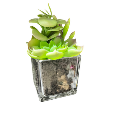 Faux 6’’ Succulent