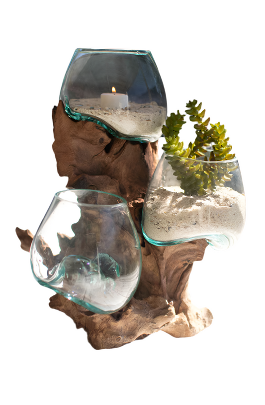 Three Blown Glass Bowls on a Driftwood Base