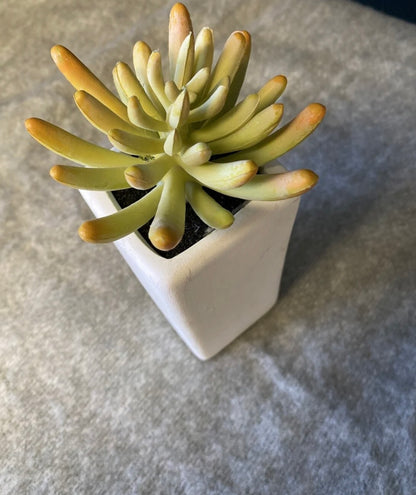 Faux Plant W/ White Vase- Open Box