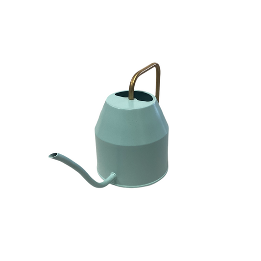 Mint Watering Can