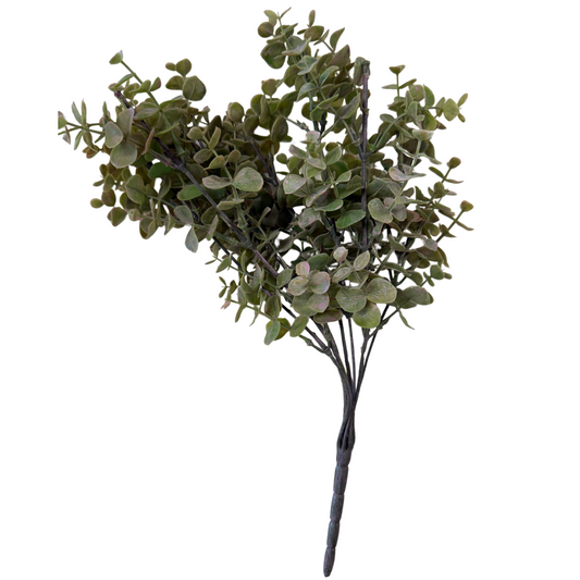 Green & Pink Eucalyptus Stem- Open Box