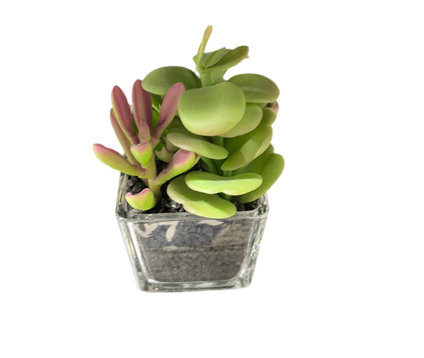 Faux 6’’ Succulent