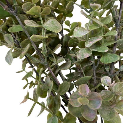Green & Pink Eucalyptus Stem- Open Box