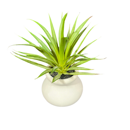 Petite Faux Succulent