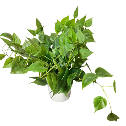 Trailing Faux Greenery in White Ceramic Pot-OPEN BOX