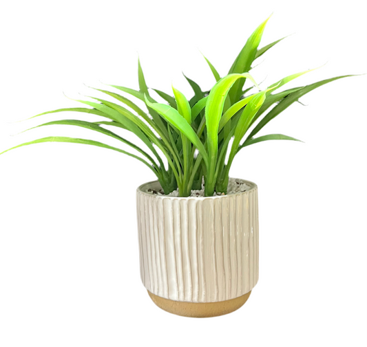 Faux Accent Plant in Two-Tone Grooved Planter