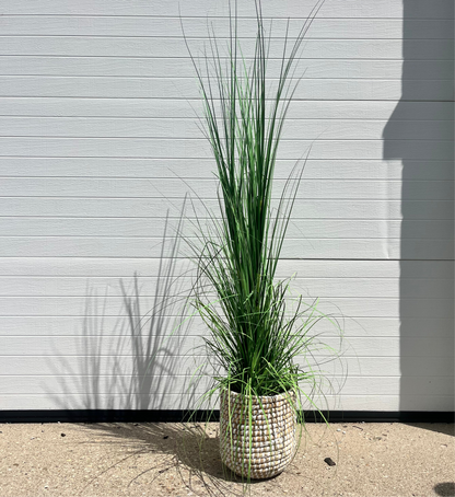 Medium Woven Basket Floor Plant