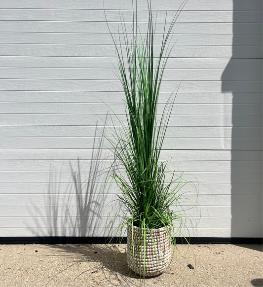 Medium Woven Basket Floor Plant