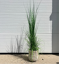 Medium Woven Basket Floor Plant