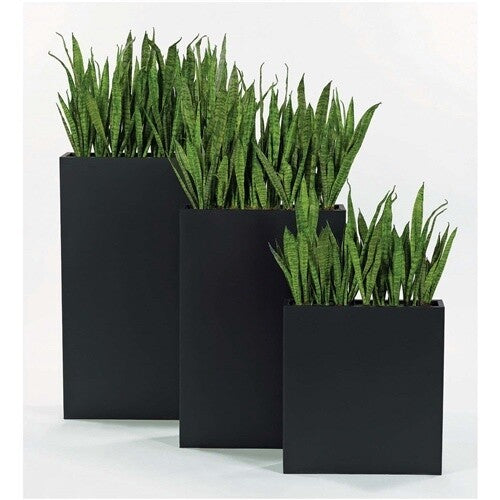 SANSEVIERIA MEDIUM BLK METAL- Local Pick Up Only