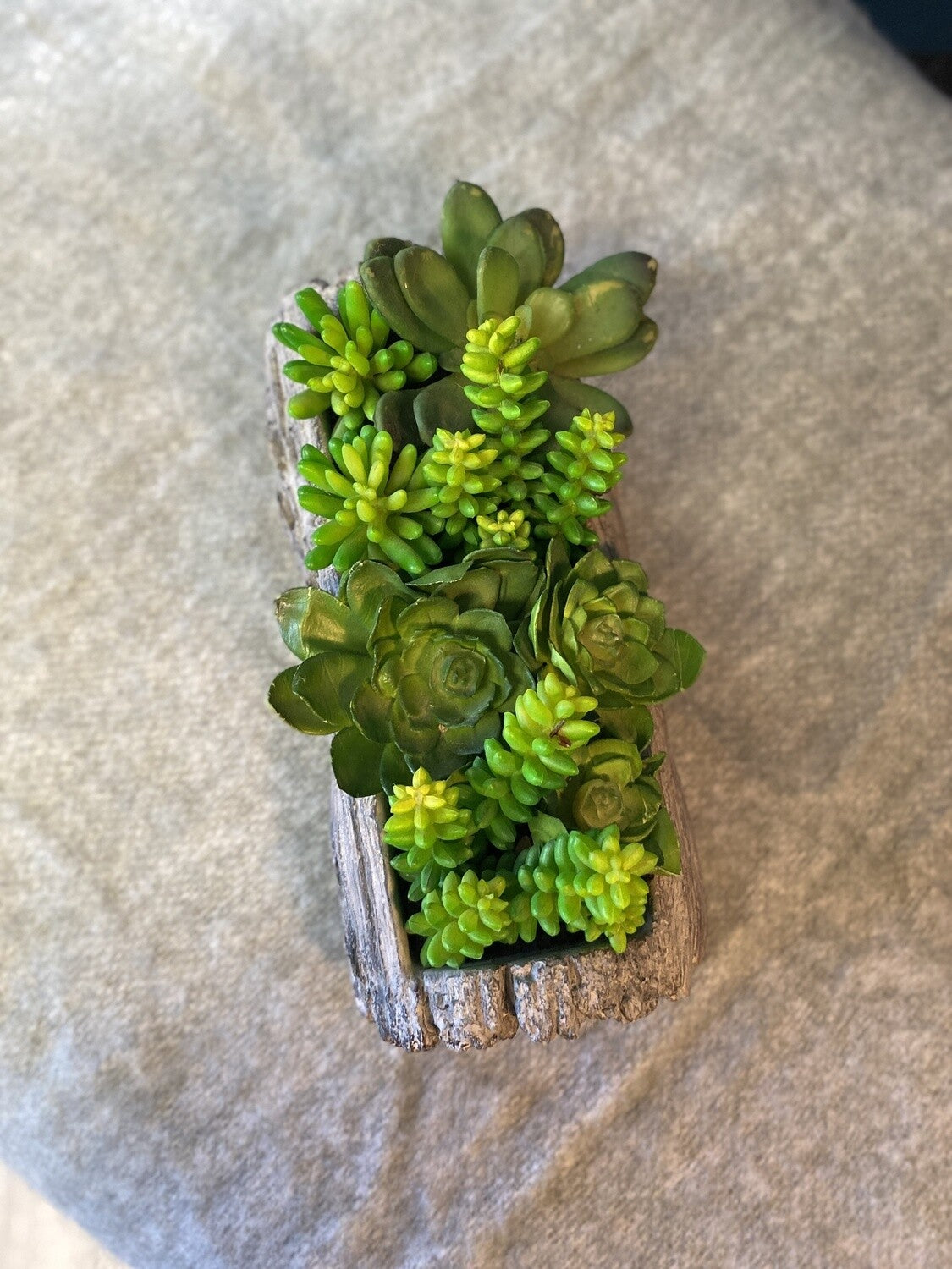 Faux Succulent Decor- Open Box