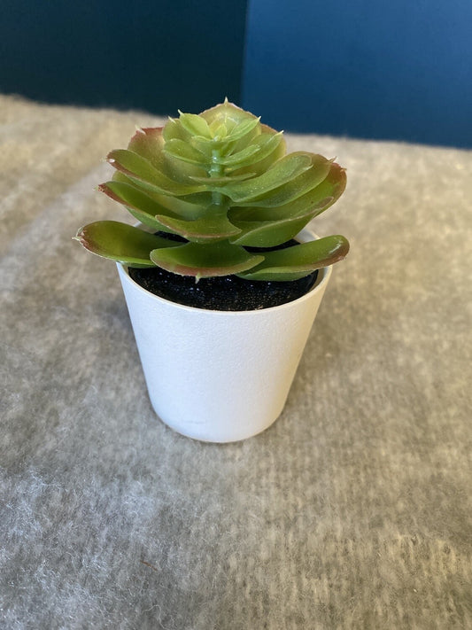 Small Faux Succulent Decor- Open Box