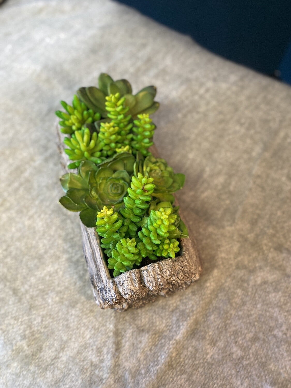 Faux Succulent Decor- Open Box