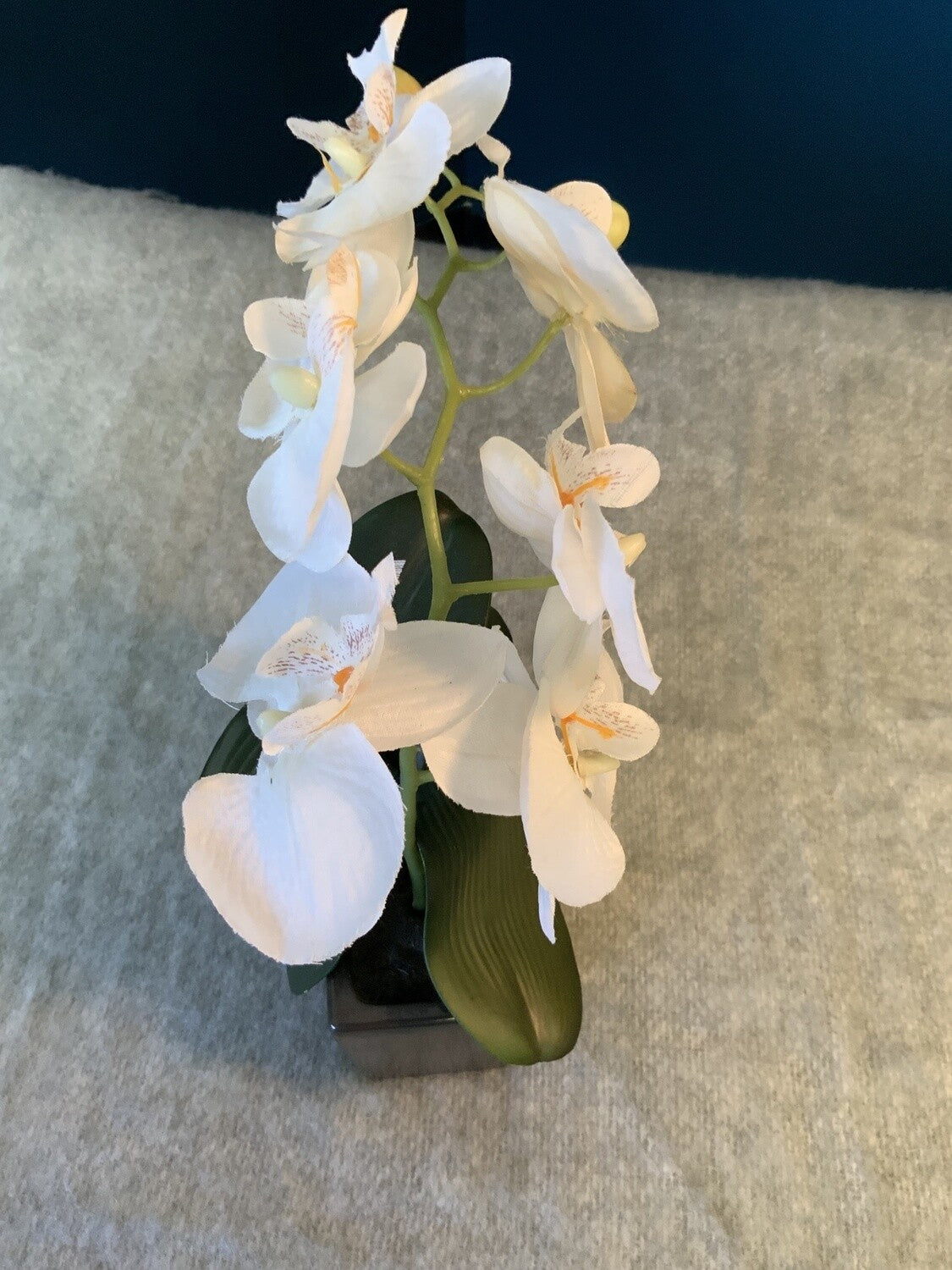 Faux Orchid- Open Box