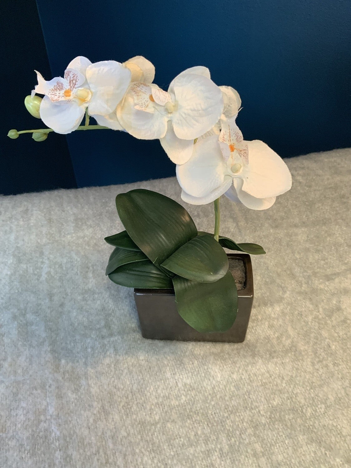 Faux Orchid- Open Box