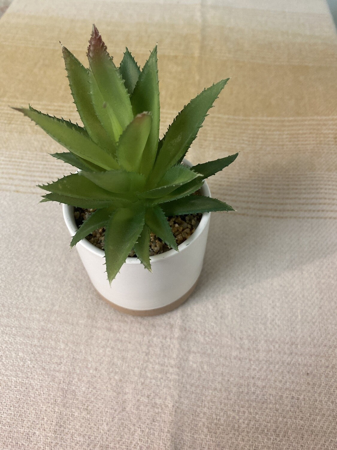 White Planter + Faux Succulent- Open Box