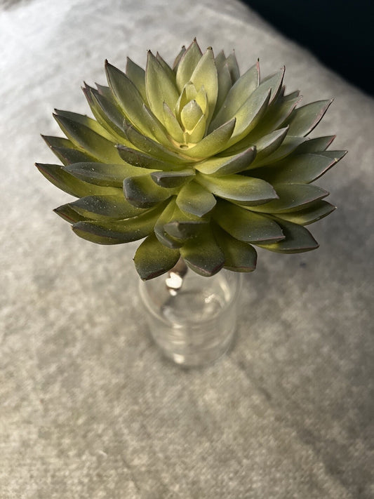 Green Succulent Plant Decor- Open Box