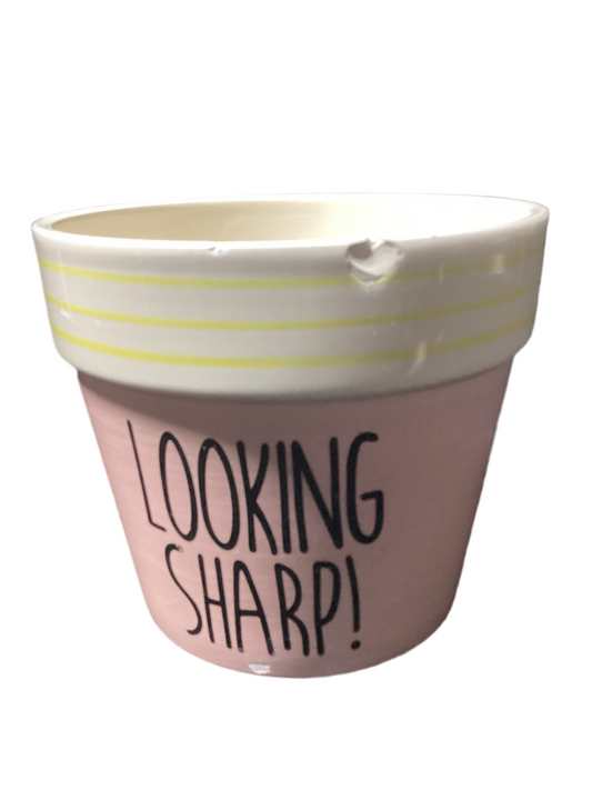 Looking Sharp flower pot - open box-8049