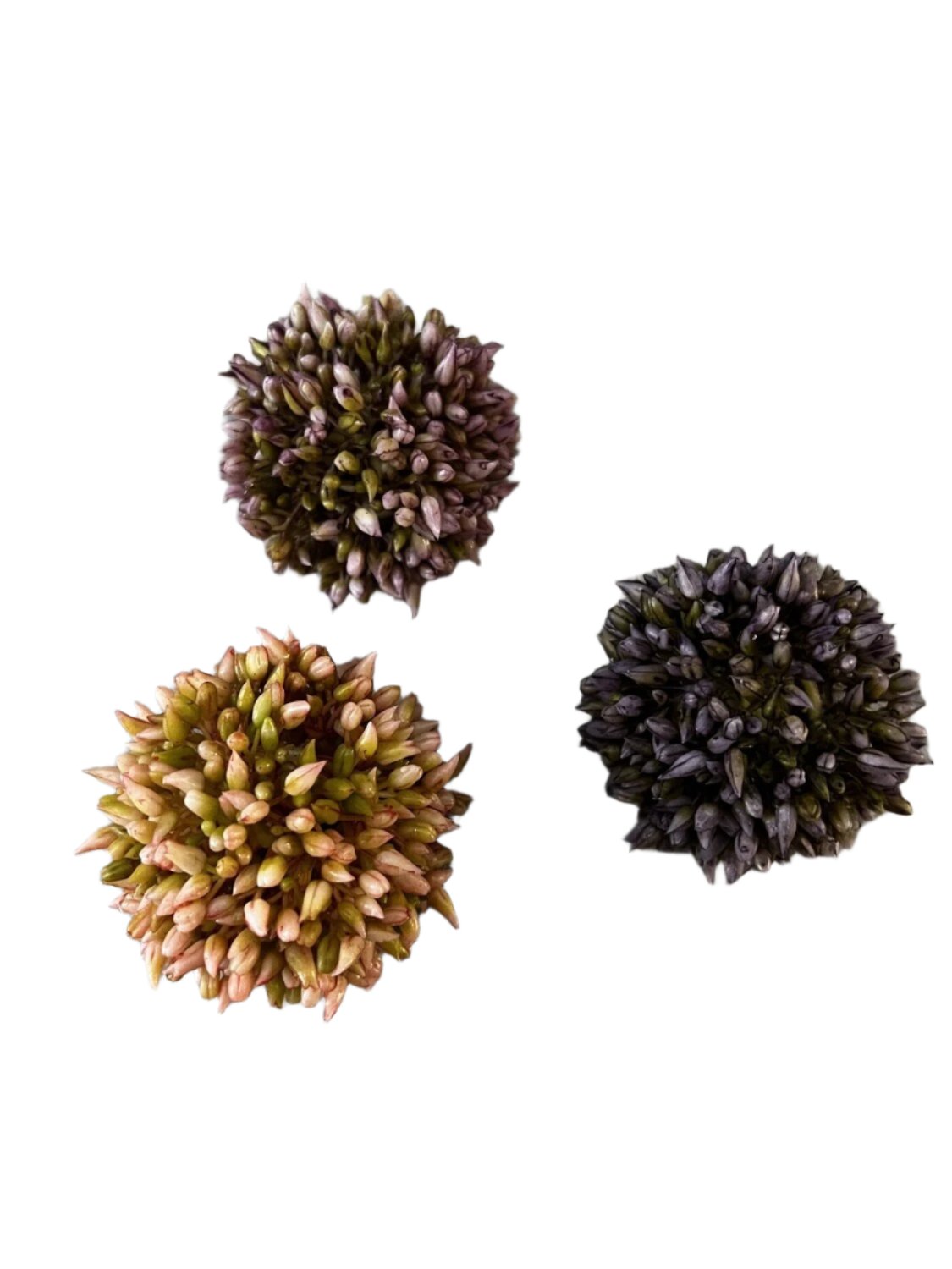 3 Pack Flower Ball Decor - Open Box