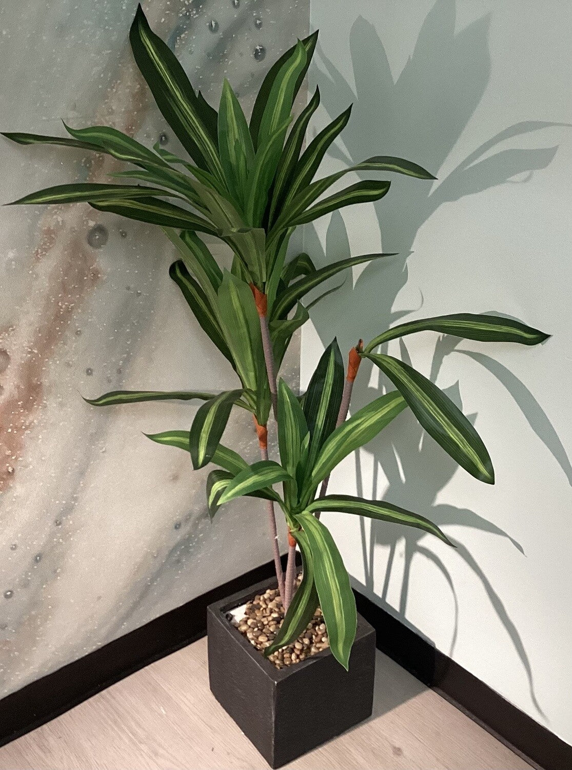 Medium Dracaena Floor Plant (50”H x 9.5”W)-open box