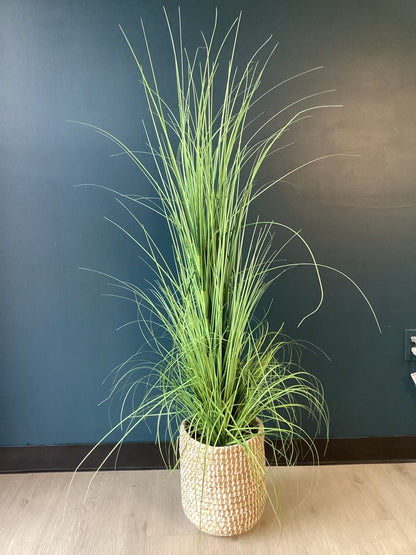 Medium Wicker Basket Floor Plant-8144