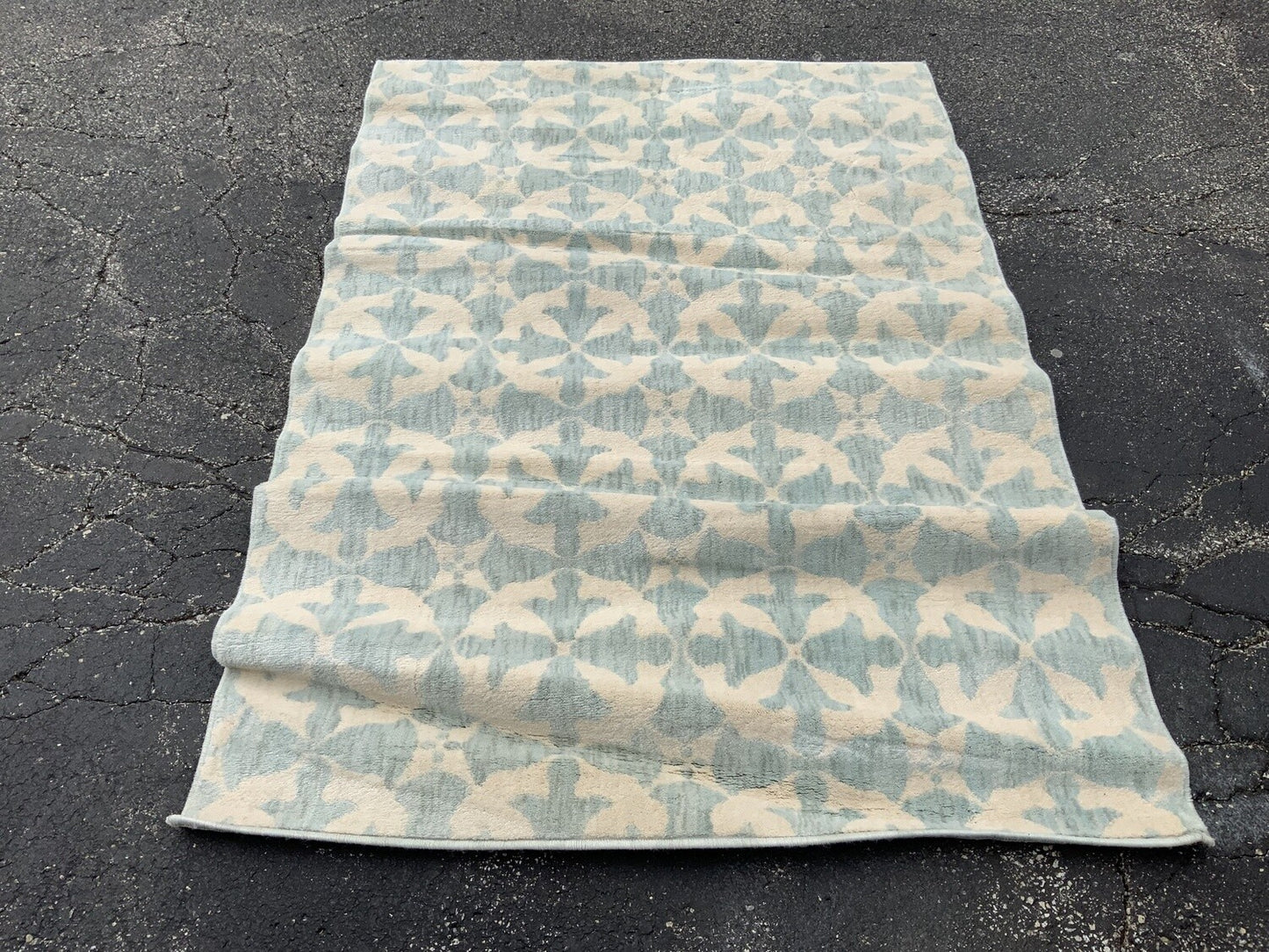 Sawyer Rug (4' x 6')OPEN BOX