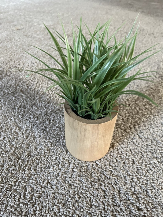 Faux Wood Plant- Open Box