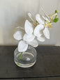 Faux White Lotus In Glass Vase- Open Box