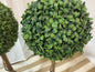 Faux Boxwood Topiary SET OF 2- Open Box-8120