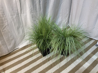 Faux grass in wood planter-OPEN BOX-8124