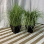 Faux grass in wood planter-OPEN BOX-8124