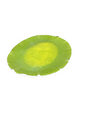 Green ceramic plate-OPEN BOX