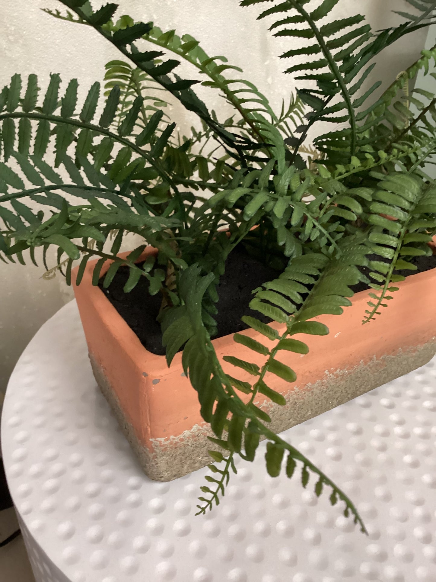 Artificial Fern Plant-Open Box