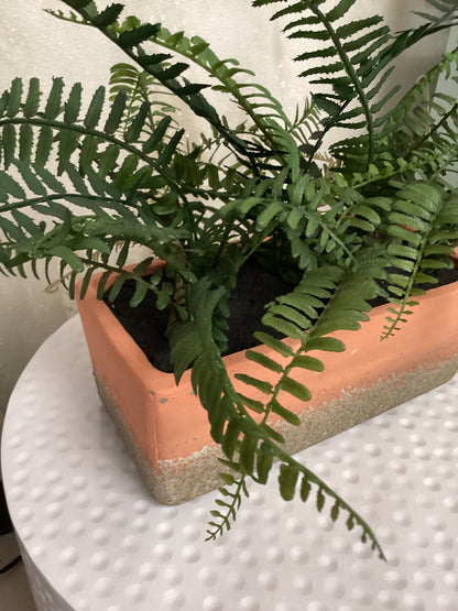 Artificial Fern Plant-Open Box