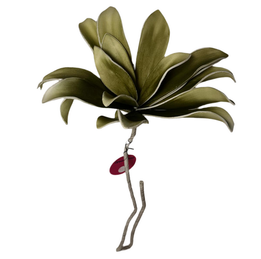 Green Flower Stem