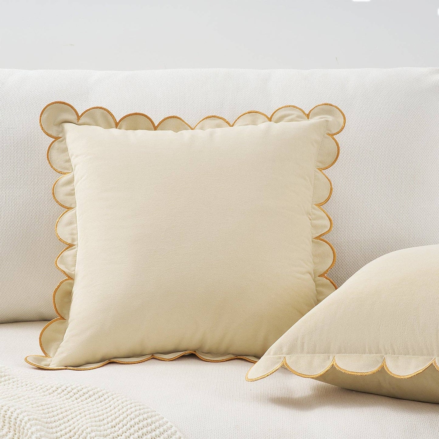 Bri Bri Pillow Covers (2-Pack) - Cream: 20x20 inch